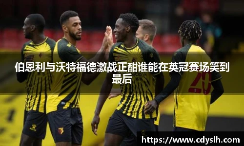 伯恩利与沃特福德激战正酣谁能在英冠赛场笑到最后