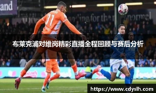 J9集团官网入口